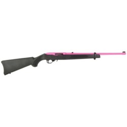 View 2 - Ruger 10/22 Carbine