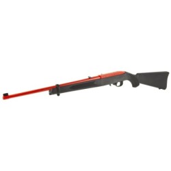 View 3 - Ruger 10/22 Carbine