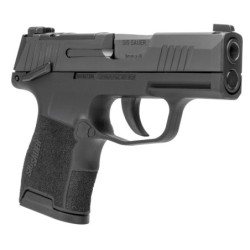 View 3 - Sig Sauer P365