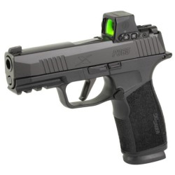 View 3 - Sig Sauer P365