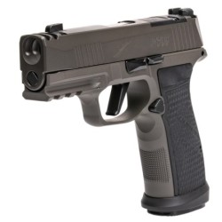 View 3 - Sig Sauer P365 AXG Legion