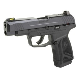 View 3 - Ruger MAX-9