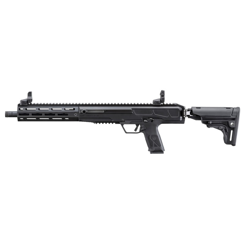 Ruger LC Carbine