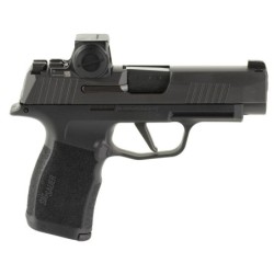 View 2 - Sig Sauer P365XL